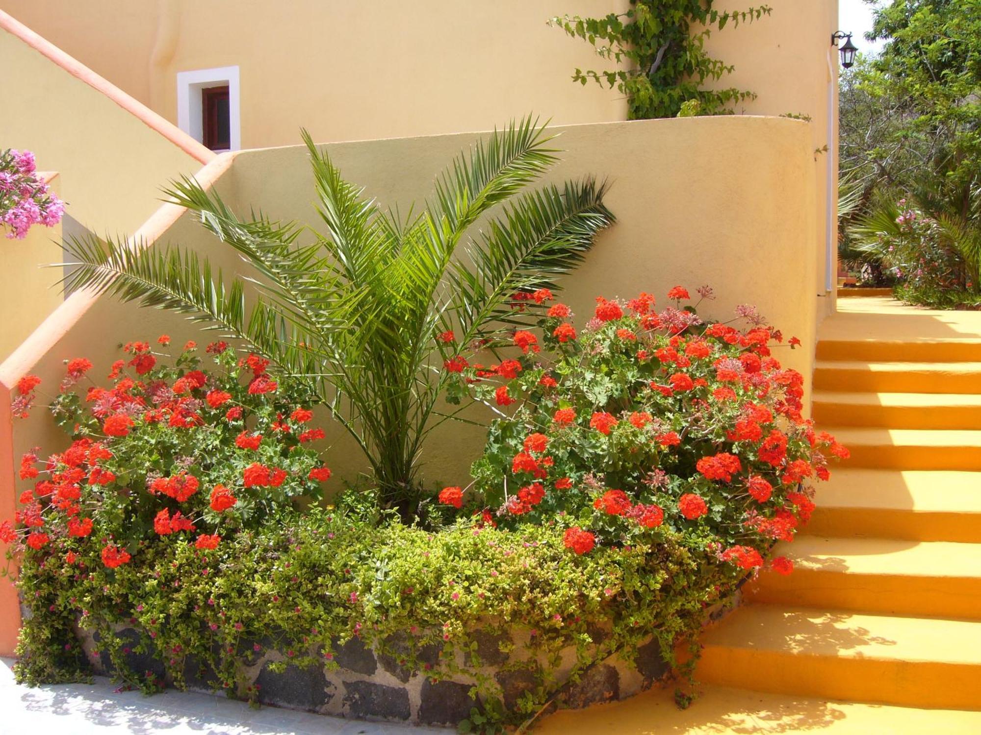 Soulis Hotel Oia  Exterior photo