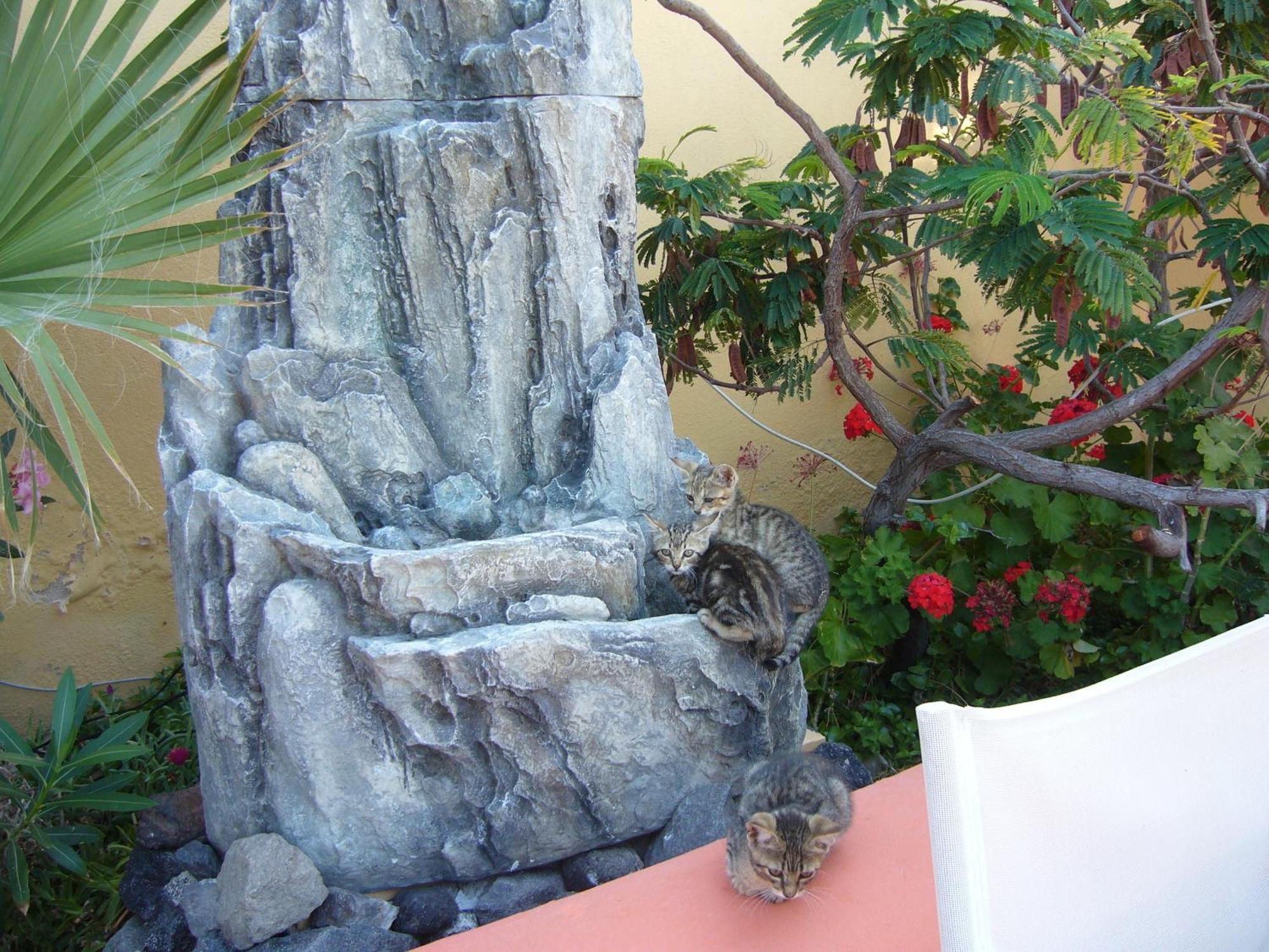 Soulis Hotel Oia  Exterior photo